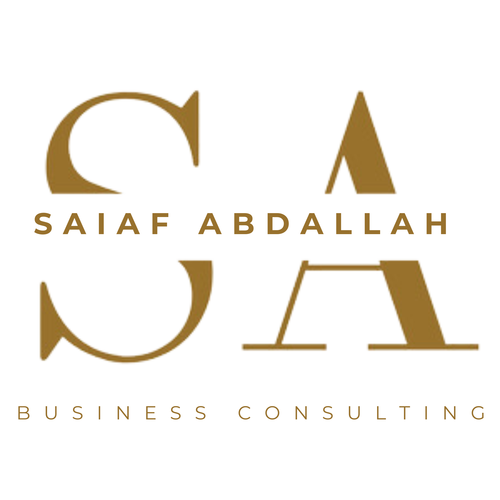 Business Consulting Logo (1)